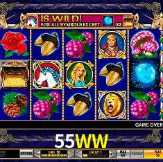 55WW Rio de Janeiro - Bonus Terms